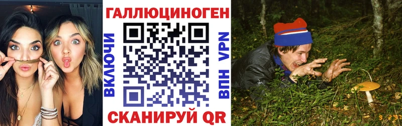 Галлюциногенные грибы Psilocybe  наркошоп  Кемь 
